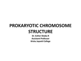 PROKARYOTIC CHROMOSOME
STRUCTURE
Dr. Esther Shoba R
Assistant Professor
Kristu Jayanti College
 