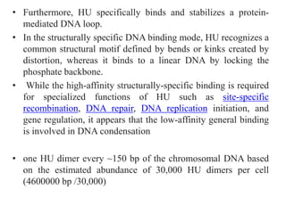 Prokaryotic chromosome structure | PPT