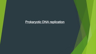 Prokaryotic DNA replication
1
 