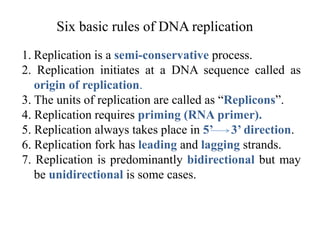 Six basic rules of DNA replication
1. Replication is a semi-conservative process.
2. Replication initiates at a DNA sequence called as
origin of replication.
3. The units of replication are called as “Replicons”.
4. Replication requires priming (RNA primer).
5. Replication always takes place in 5’ 3’ direction.
6. Replication fork has leading and lagging strands.
7. Replication is predominantly bidirectional but may
be unidirectional is some cases.
 