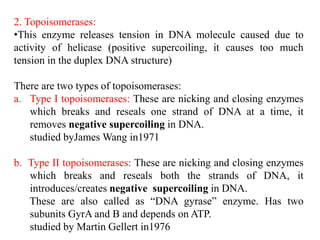 2. Topoisomerases:
•This enzyme releases tension in DNA molecule caused due to
activity of helicase (positive supercoiling, it causes too much
tension in the duplex DNA structure)
There are two types of topoisomerases:
a. Type I topoisomerases: These are nicking and closing enzymes
which breaks and reseals one strand of DNA at a time, it
removes negative supercoiling in DNA.
studied byJames Wang in1971
b. Type II topoisomerases: These are nicking and closing enzymes
which breaks and reseals both the strands of DNA, it
introduces/creates negative supercoiling in DNA.
These are also called as “DNA gyrase” enzyme. Has two
subunits GyrA and B and depends on ATP.
studied by Martin Gellert in1976
 