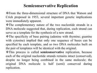 Semiconservative Replication
From the three-dimensional structure of DNA that Watson and
Crick proposed in 1953, several important genetic implications
were immediately apparent.
The complementary nature of the two nucleotide strands in a
DNA molecule suggested that, during replication, each strand can
serve as a template for the synthesis of a new strand.
The specificity of base pairing (adenine with thymine; guanine
with cytosine) implied that only one sequence of bases can be
specified by each template, and so two DNA molecules built on
the pair of templates will be identical with the original.
This process is called semiconservative replication, because
each of the original nucleotide strands remains intact (conserved),
despite no longer being combined in the same molecule; the
original DNA molecule is half (semi) conserved during
replication.
 