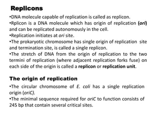 Replicons
•DNA molecule capable of replication is called as replicon.
•Rplicon is a DNA molecule which has origin of replication (ori)
and can be replicated autonomously in the cell.
•Replication initiates at ori site.
•The prokaryotic chromosome has single origin of replication site
and termination site, is called a single replicon.
•The stretch of DNA from the origin of replication to the two
termini of replication (where adjacent replication forks fuse) on
each side of the origin is called a replicon or replication unit.
The origin of replication
•The circular chromosome of E. coli has a single replication
origin (oriC).
•The minimal sequence required for oriC to function consists of
245 bp that contain several critical sites.
 