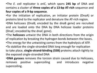 •The E. coli replicator is oriC, which spans 245 bp of DNA and
contains a cluster of three copies of a 13-bp AT-rich sequence and
four copies of a 9-bp sequence.
•For the initiation of replication, an initiator protein (DnaA) or
proteins bind to the replicator and denature the AT-rich region.
•DNA helicases (DnaB; encoded by the dnaB gene) are recruited
and are loaded onto the DNA by DNA helicase loader proteins
(DnaC; encoded by the dnaC gene).
•The helicases untwist the DNA in both directions from the origin
of replication by breaking the hydrogen bonds between the bases.
•The energy for the untwisting comes from the hydrolysis of ATP.
•To stabilize the single-stranded DNA long enough for replication
to take place, single-strand-binding (SSB) proteins attach tightly to
the exposed single-stranded DNA
•DNA gyrases removes the torsion strain caused due to Helicases,
removes positive supercoiling and introduces negative
supercoiling.
 