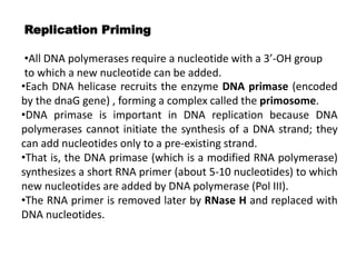 Replication Priming
•All DNA polymerases require a nucleotide with a 3’-OH group
to which a new nucleotide can be added.
•Each DNA helicase recruits the enzyme DNA primase (encoded
by the dnaG gene) , forming a complex called the primosome.
•DNA primase is important in DNA replication because DNA
polymerases cannot initiate the synthesis of a DNA strand; they
can add nucleotides only to a pre-existing strand.
•That is, the DNA primase (which is a modified RNA polymerase)
synthesizes a short RNA primer (about 5-10 nucleotides) to which
new nucleotides are added by DNA polymerase (Pol III).
•The RNA primer is removed later by RNase H and replaced with
DNA nucleotides.
 