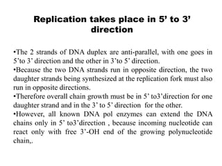 Replication takes place in 5’ to 3’
direction
•The 2 strands of DNA duplex are anti-parallel, with one goes in
5’to 3’ direction and the other in 3’to 5’ direction.
•Because the two DNA strands run in opposite direction, the two
daughter strands being synthesized at the replication fork must also
run in opposite directions.
•Therefore overall chain growth must be in 5’ to3’direction for one
daughter strand and in the 3’ to 5’ direction for the other.
•However, all known DNA pol enzymes can extend the DNA
chains only in 5’ to3’direction , because incoming nucleotide can
react only with free 3’-OH end of the growing polynucleotide
chain,.
 