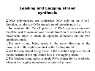 Leading and Lagging strand
synthesis
DNA polymerases can synthesize DNA only in the 5'-to-3'
direction, yet the two DNA strands are of opposite polarity.
To maintain the 5'-to-3' polarity of DNA synthesis on each
template, and to maintain one overall direction of replication fork
movement, DNA is made in opposite directions on the two
template strands.
The new strand being made in the same direction as the
movement of the replication fork is the leading strand.
and the new strand being made in the direction opposite that of
the movement of the replication fork is the lagging strand.
The leading strand needs a single RNA primer for its synthesis,
whereas the lagging strand needs a series of primers
 