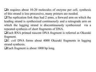 It requires about 10-20 molecules of enzyme per cell, synthesis
of this strand is less processive, many primers are needed.
The replication fork thus had 2 arms, a forward arm on which the
leading strand is synthesized continuously and a retrograde arm on
which the lagging strand is discontinuously synthesized via a
repeated synthesis of short fragments of DNA.
Each RNA primed nascent DNA fragment is referred as Okazaki
fragment.
E. coli DNA forms about 4000 Okazaki fragments in lagging
strand synthesis.
Each fragment is about 1000 bp long.
 