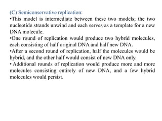 (C) Semiconservative replication:
•This model is intermediate between these two models; the two
nucleotide strands unwind and each serves as a template for a new
DNA molecule.
•One round of replication would produce two hybrid molecules,
each consisting of half original DNA and half new DNA.
•After a second round of replication, half the molecules would be
hybrid, and the other half would consist of new DNA only.
• Additional rounds of replication would produce more and more
molecules consisting entirely of new DNA, and a few hybrid
molecules would persist.
 