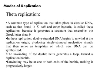 Modes of Replication
Theta replication:
• A common type of replication that takes place in circular DNA,
such as that found in E. coli and other bacteria, is called theta
replication, because it generates a structure that resembles the
Greek letter theta θ.
•In theta replication, double-stranded DNA begins to unwind at the
replication origin, producing single-stranded nucleotide strands
that then serve as templates on which new DNA can be
synthesized.
•The unwinding of the double helix generates a loop, termed a
replication bubble.
•Unwinding may be at one or both ends of the bubble, making it
progressively larger.
 