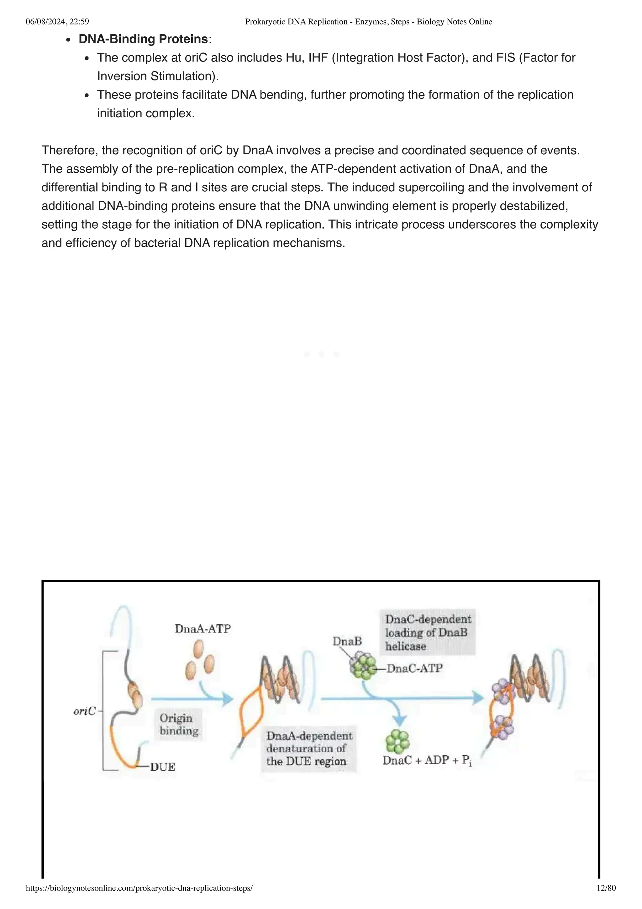 Prokaryotic DNA Replication - Enzymes, Steps - Biology Notes Online.pdf