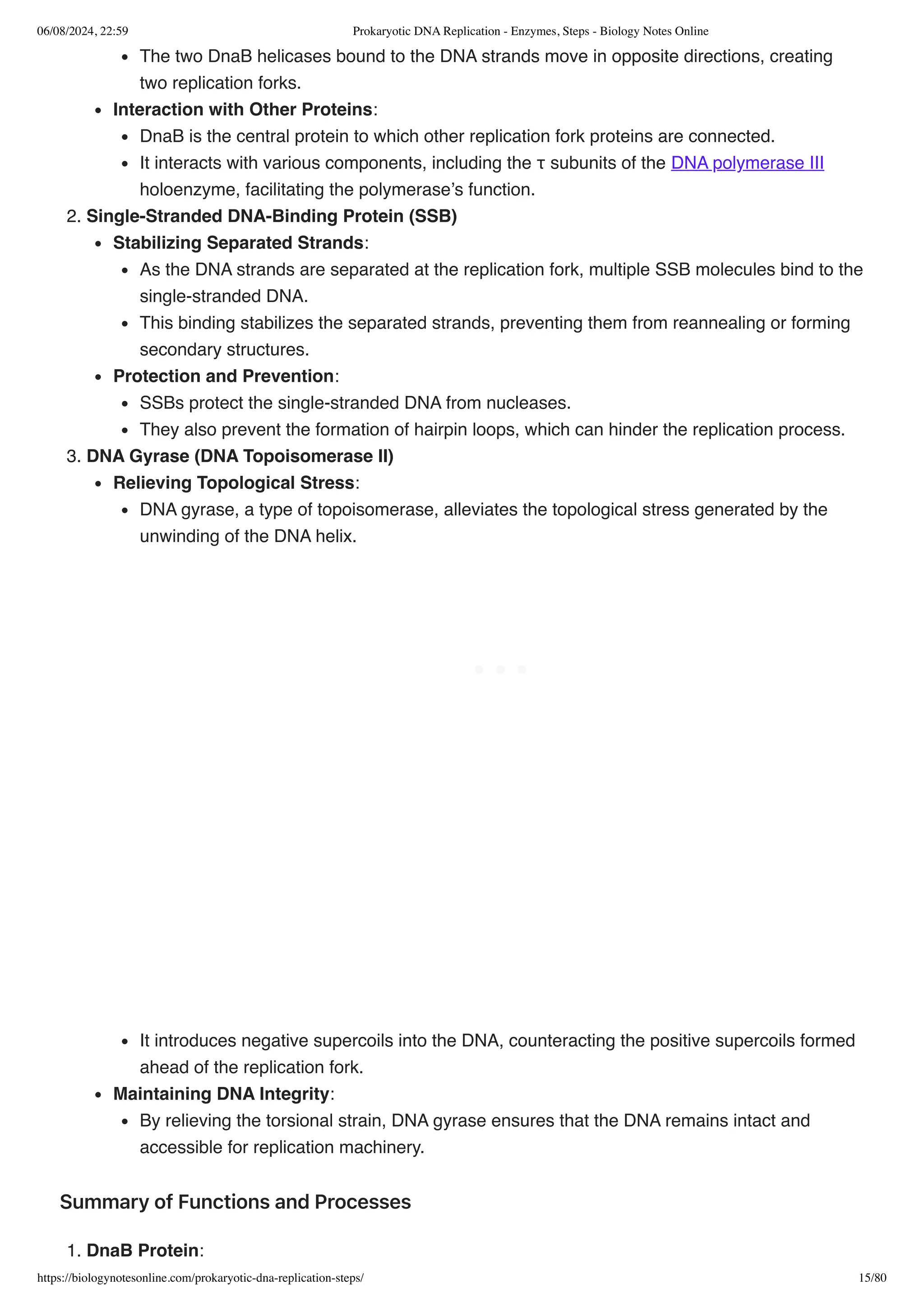 Prokaryotic DNA Replication - Enzymes, Steps - Biology Notes Online.pdf