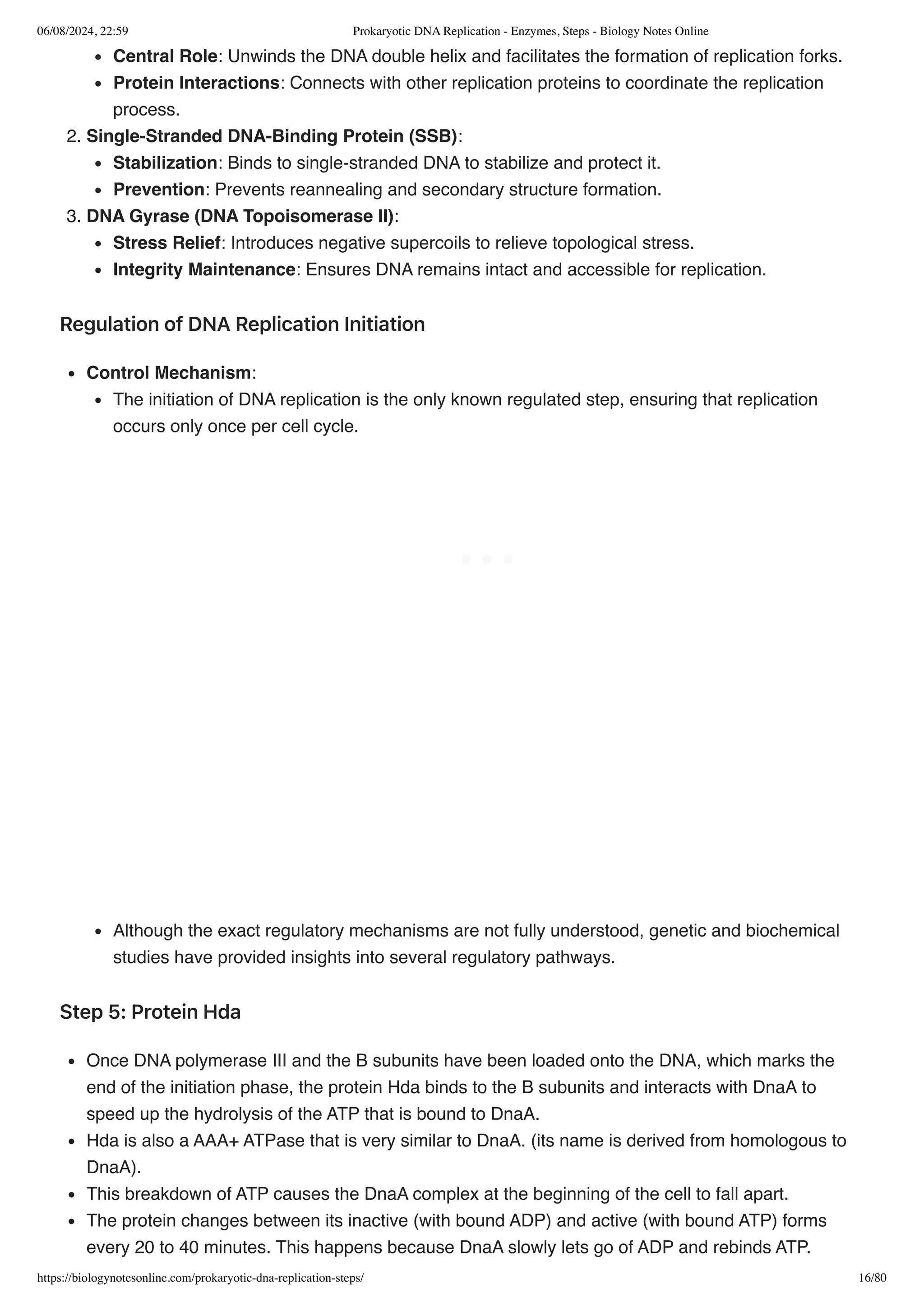Prokaryotic DNA Replication - Enzymes, Steps - Biology Notes Online.pdf