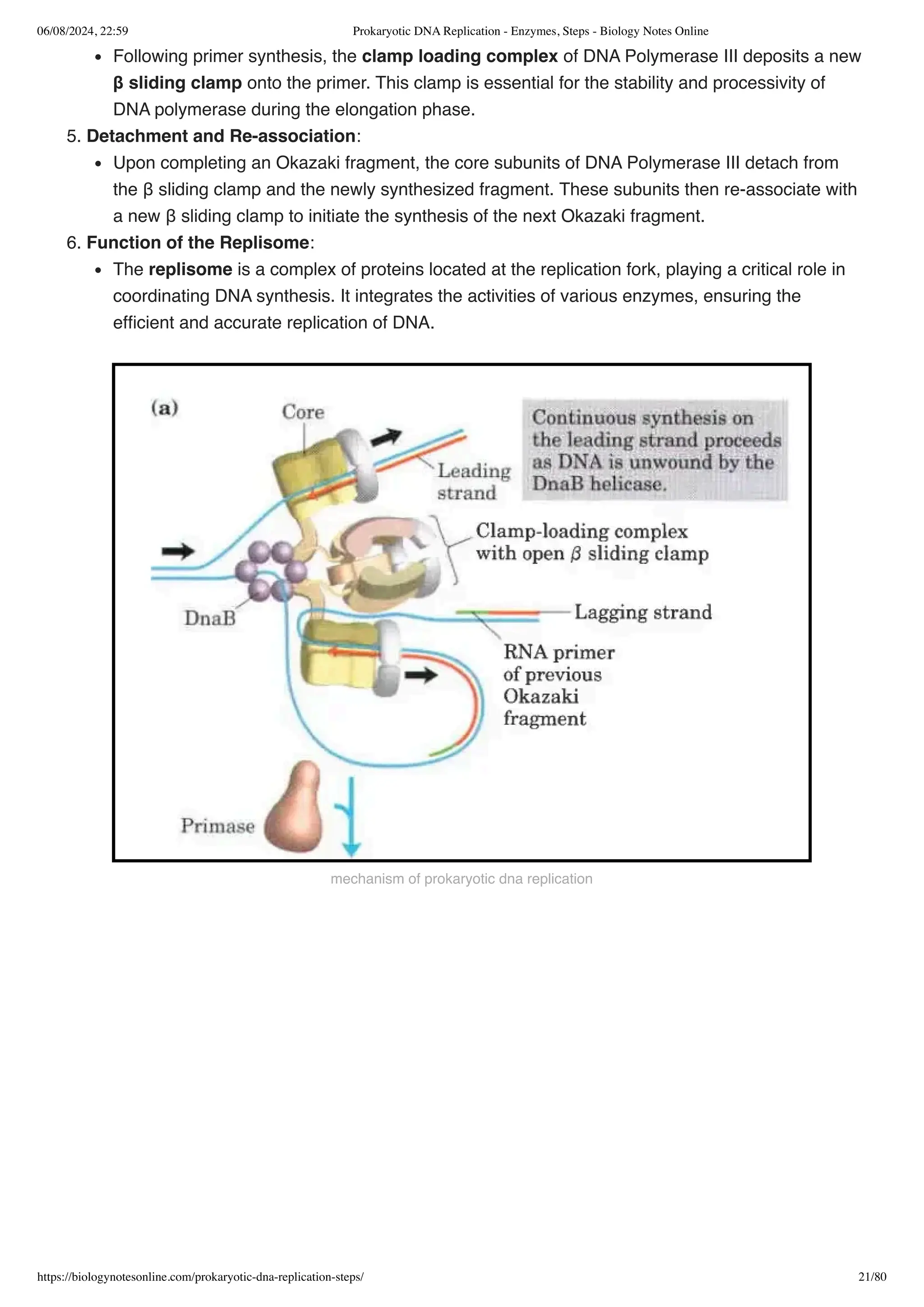 Prokaryotic DNA Replication - Enzymes, Steps - Biology Notes Online.pdf