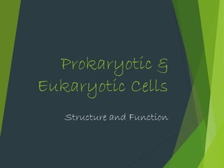 Structure and Function
Prokaryotic &
Eukaryotic Cells
 