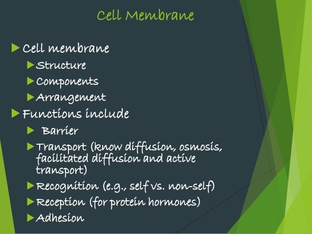 Prokaryotic &eukaryotic cells