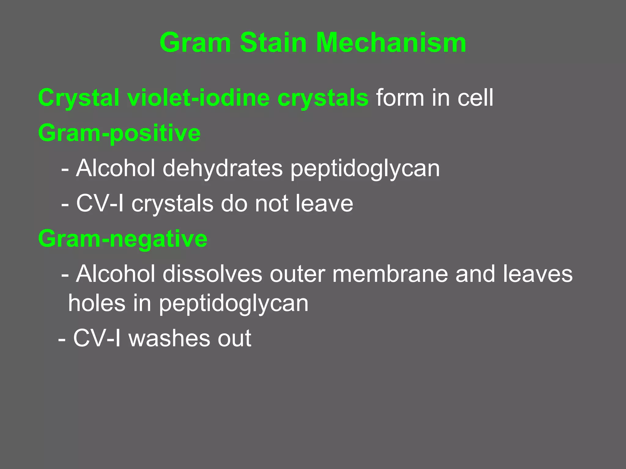 Gram Stain Mechanism
Crystal violet-iodine crystals form in cell
Gram-positive
  - Alcohol dehydrates peptidoglycan
  - CV-I crystals do not leave
Gram-negative
  - Alcohol dissolves outer membrane and leaves
   holes in peptidoglycan
 - CV-I washes out
 