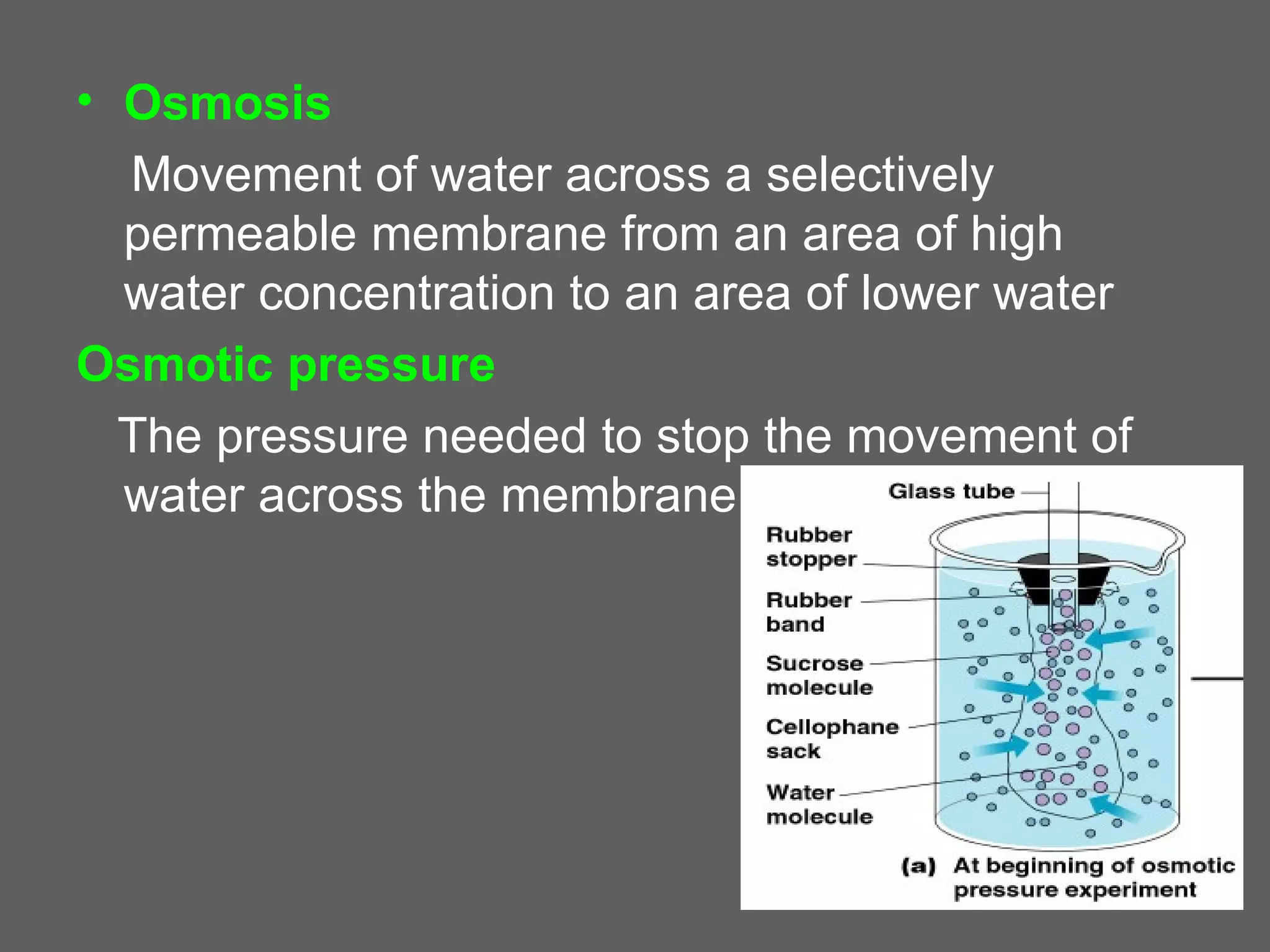 • Osmosis
  Movement of water across a selectively
  permeable membrane from an area of high
  water concentration to an area of lower water
Osmotic pressure
  The pressure needed to stop the movement of
  water across the membrane.
 