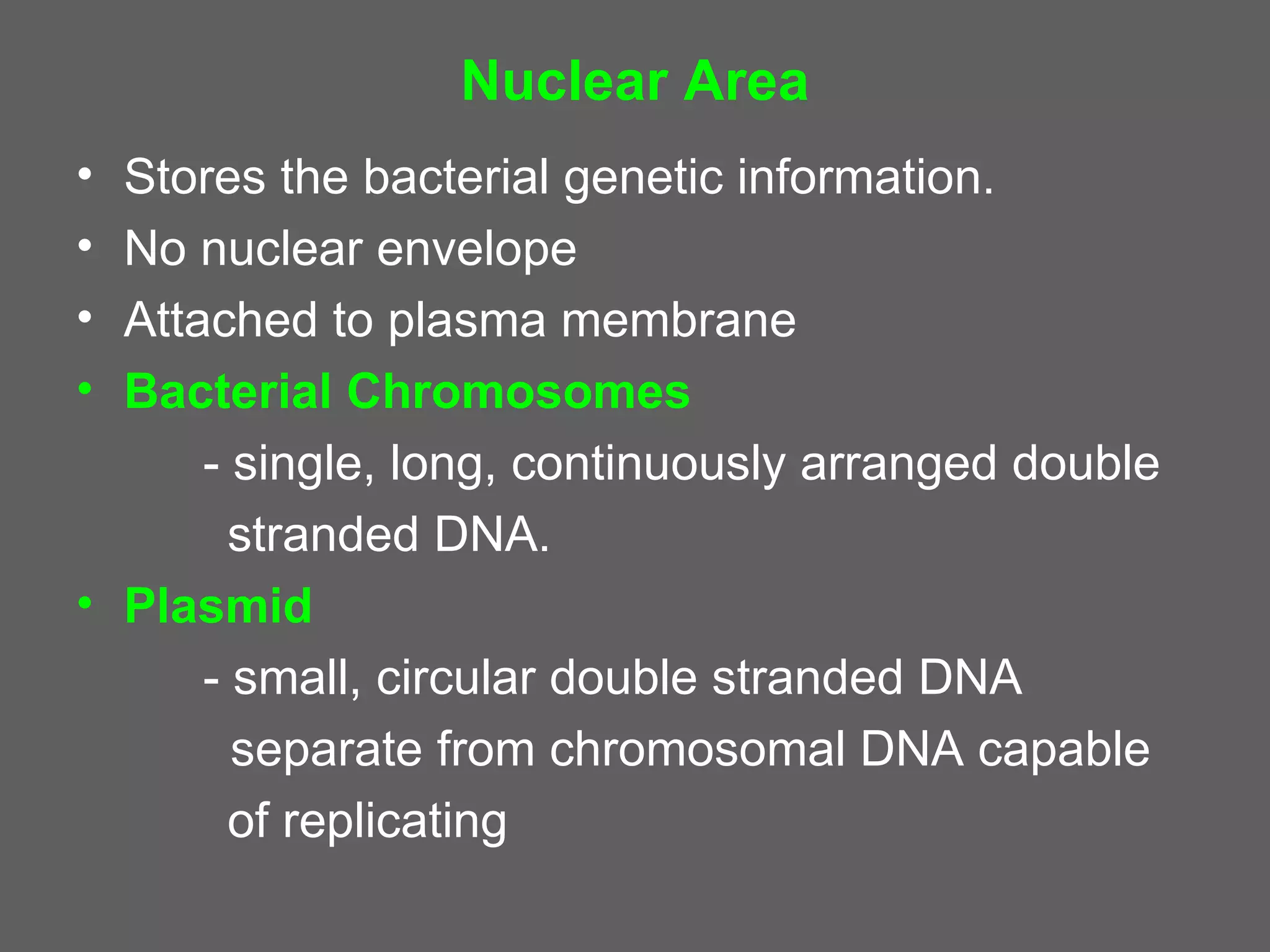 Nuclear Area
• Stores the bacterial genetic information.
• No nuclear envelope
• Attached to plasma membrane
• Bacterial Chromosomes
      - single, long, continuously arranged double
        stranded DNA.
• Plasmid
      - small, circular double stranded DNA
        separate from chromosomal DNA capable
        of replicating
 