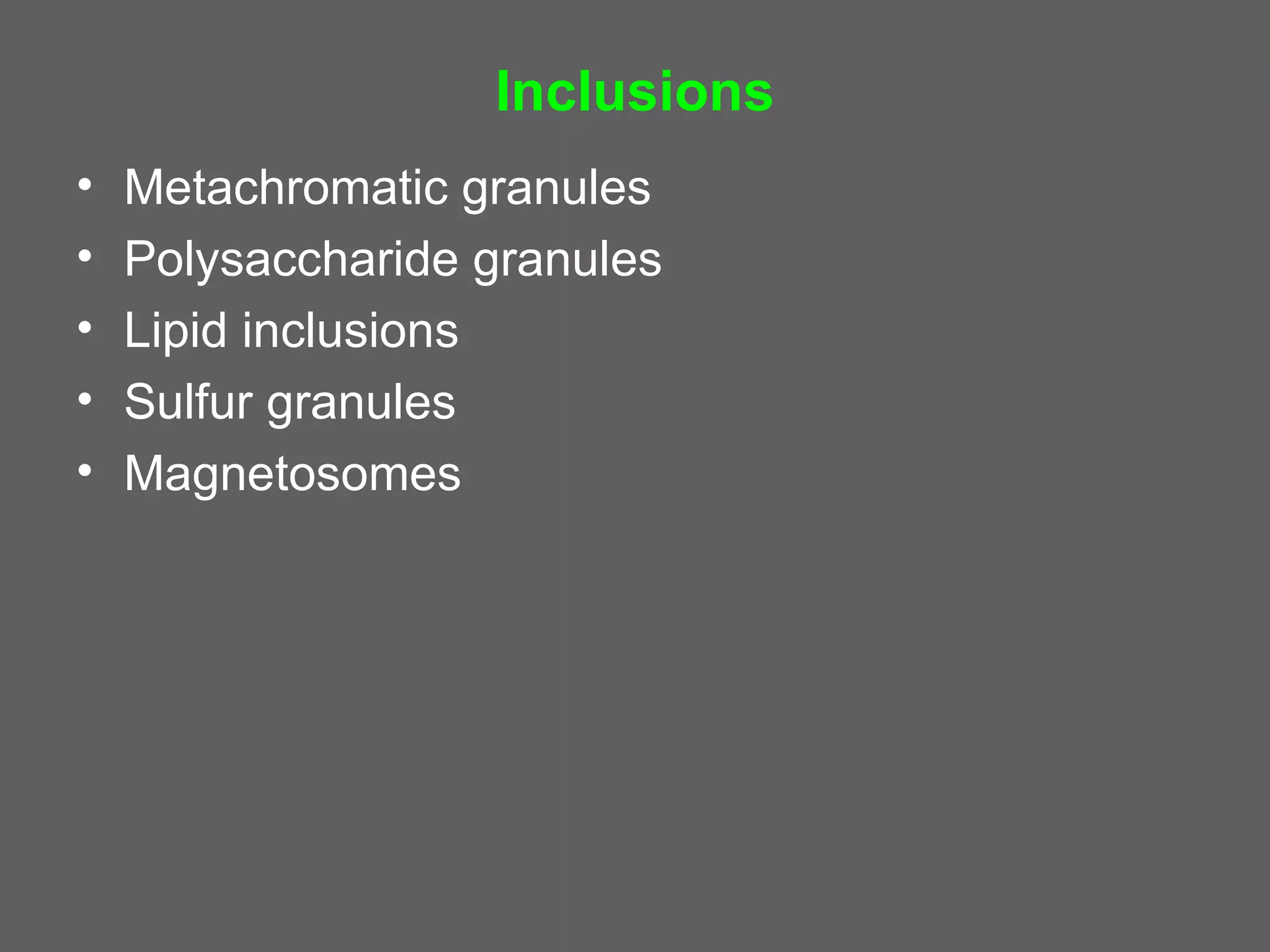 Inclusions
•   Metachromatic granules
•   Polysaccharide granules
•   Lipid inclusions
•   Sulfur granules
•   Magnetosomes
 