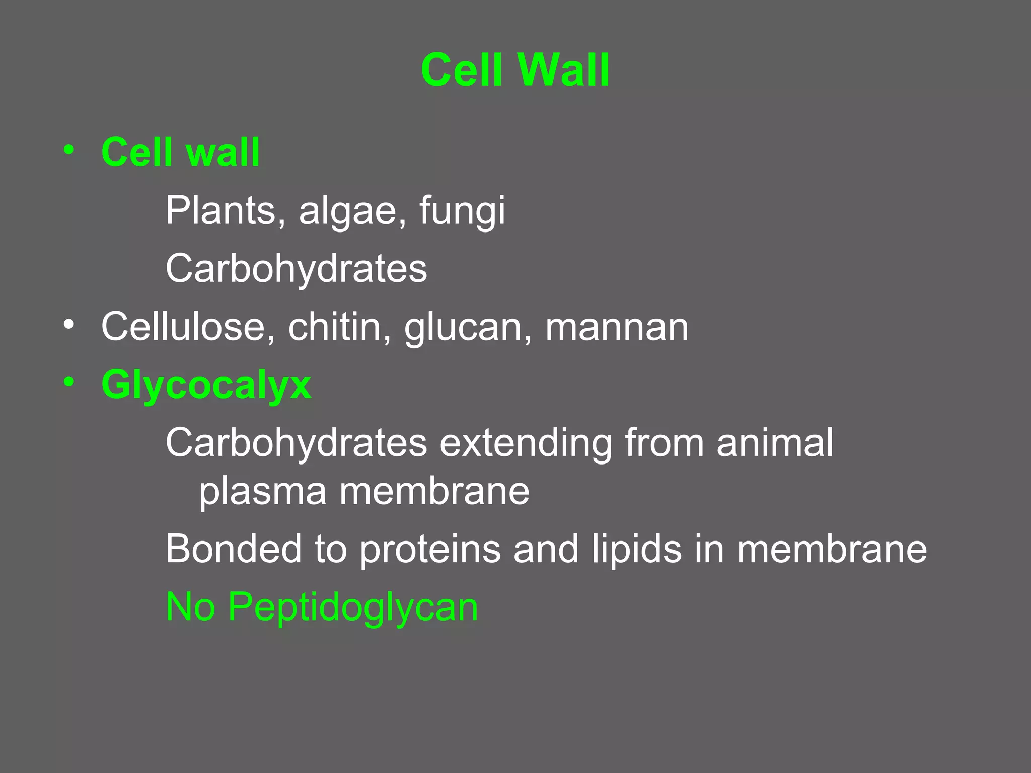 Cell Wall
• Cell wall
     Plants, algae, fungi
     Carbohydrates
• Cellulose, chitin, glucan, mannan
• Glycocalyx
     Carbohydrates extending from animal
        plasma membrane
     Bonded to proteins and lipids in membrane
     No Peptidoglycan
 