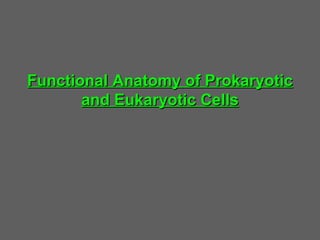 Functional Anatomy of Prokaryotic
       and Eukaryotic Cells
 