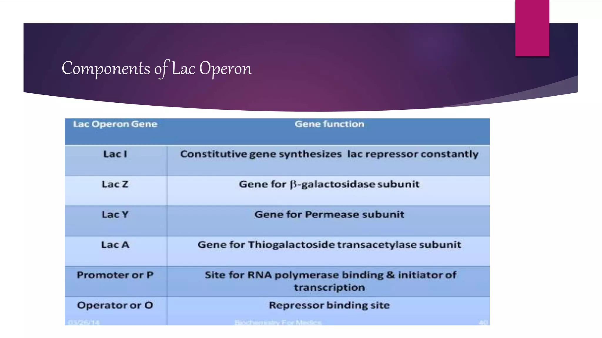 Components of Lac Operon
 