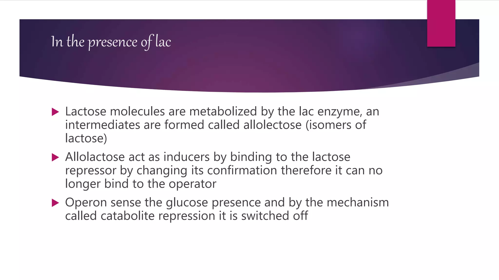 In the presence of lac
 Lactose molecules are metabolized by the lac enzyme, an
intermediates are formed called allolectose (isomers of
lactose)
 Allolactose act as inducers by binding to the lactose
repressor by changing its confirmation therefore it can no
longer bind to the operator
 Operon sense the glucose presence and by the mechanism
called catabolite repression it is switched off
 