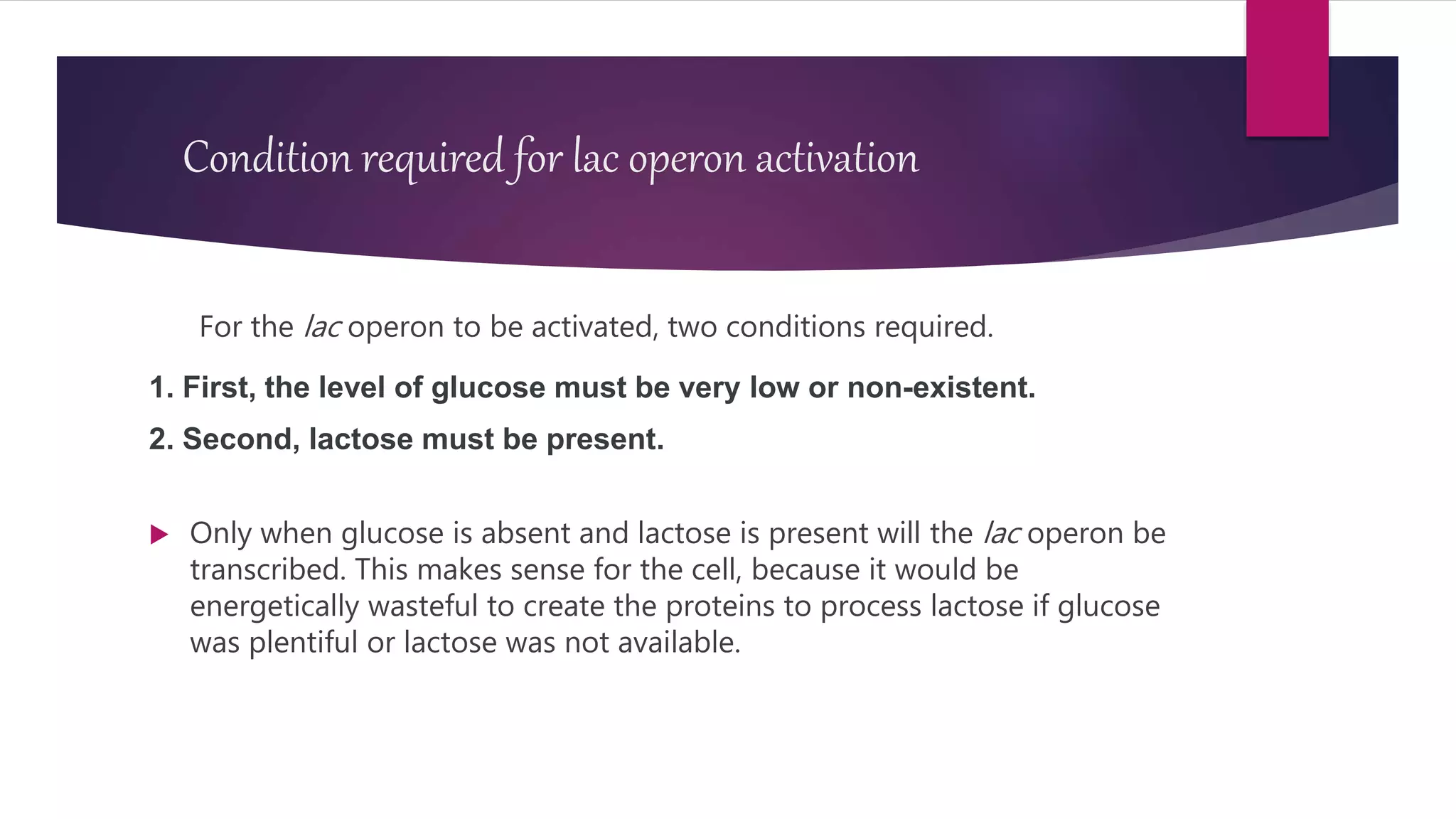 Condition required for lac operon activation
For the lac operon to be activated, two conditions required.
1. First, the level of glucose must be very low or non-existent.
2. Second, lactose must be present.
 Only when glucose is absent and lactose is present will the lac operon be
transcribed. This makes sense for the cell, because it would be
energetically wasteful to create the proteins to process lactose if glucose
was plentiful or lactose was not available.
 