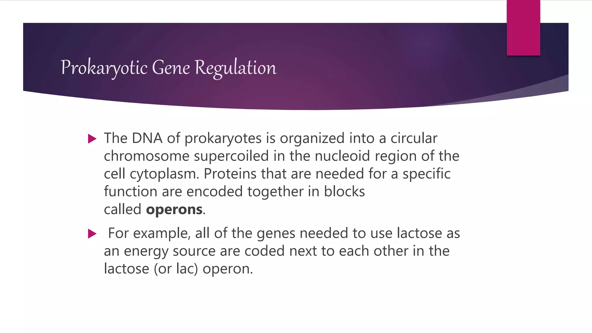 Prokaryotic Gene Regulation
 The DNA of prokaryotes is organized into a circular
chromosome supercoiled in the nucleoid region of the
cell cytoplasm. Proteins that are needed for a specific
function are encoded together in blocks
called operons.
 For example, all of the genes needed to use lactose as
an energy source are coded next to each other in the
lactose (or lac) operon.
 