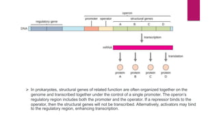 Prokaryotic expression system | PPTX