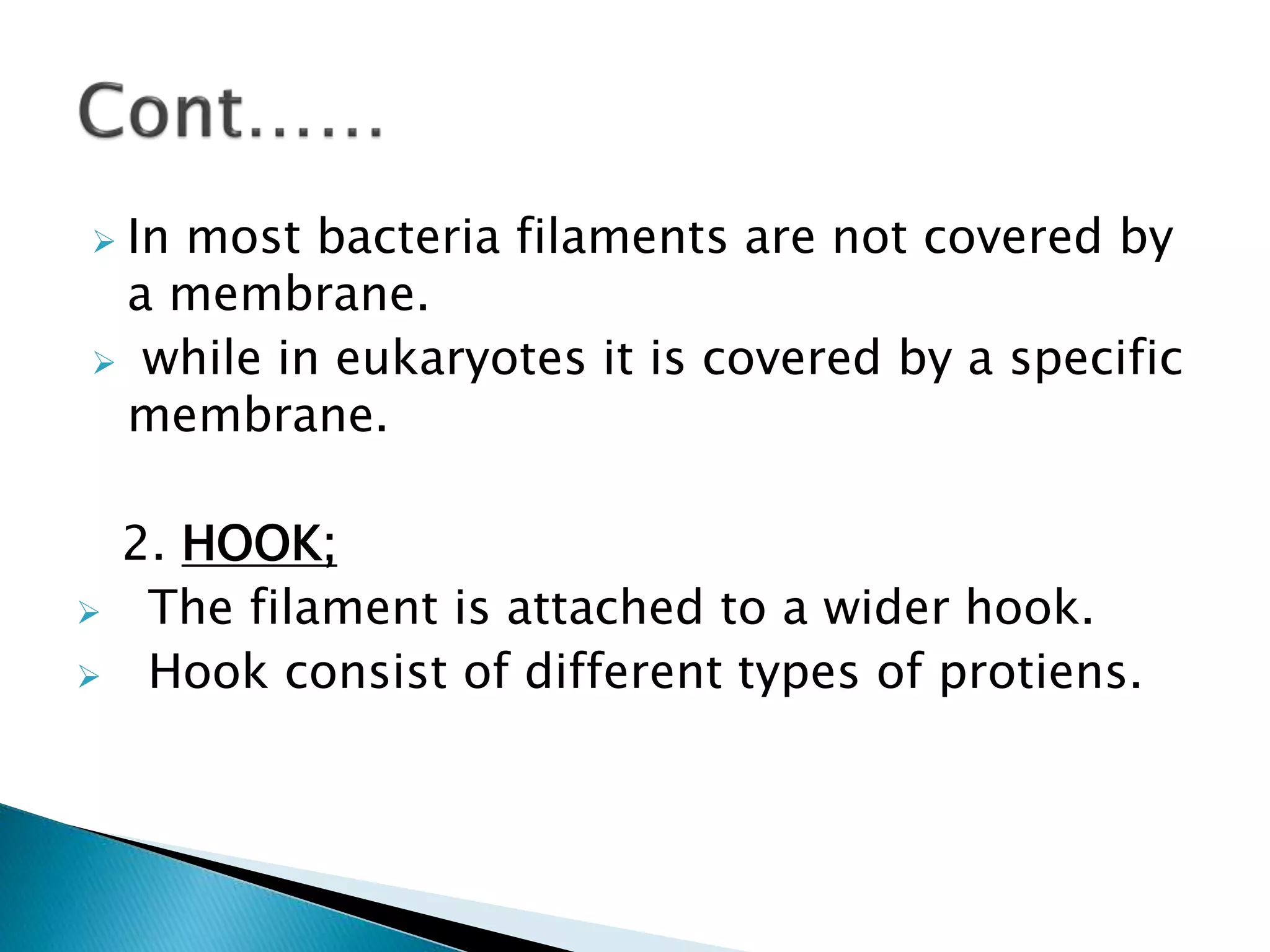  In most bacteria filaments are not covered by
a membrane.
 while in eukaryotes it is covered by a specific
membrane.
2. HOOK;
 The filament is attached to a wider hook.
 Hook consist of different types of protiens.
 