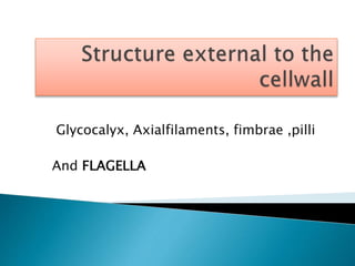 Glycocalyx, Axialfilaments, fimbrae ,pilli
And FLAGELLA
 