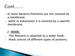  In most bacteria filaments are not covered by
a membrane.
 while in eukaryotes it is covered by a specific
membrane.
2. HOOK;
 The filament is attached to a wider hook.
 Hook consist of different types of protiens.
 