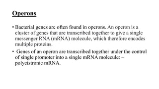 PROKARYOTIC GENE.pptx