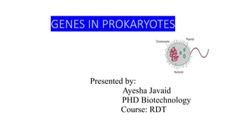 GENES IN PROKARYOTES
Presented by:
Ayesha Javaid
PHD Biotechnology
Course: RDT
 