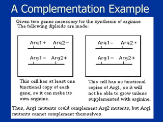 A Complementation Example 