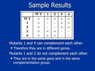 Sample Results Mutants 1 and 4 can complement each other.  Therefore they are in different genes.  Mutants 1 and 2 do not complement each other. They are in the same gene and in the same complementation group.  