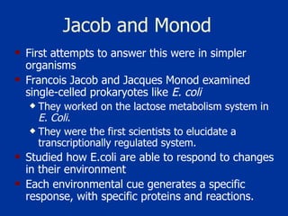 Jacob and Monod First attempts to answer this were in simpler organisms Francois Jacob and Jacques Monod examined single-celled prokaryotes like  E. coli   They worked on the lactose   metabolism system in  E. Coli .  They were the first scientists to elucidate a transcriptionally regulated system. Studied how E.coli are able to respond to changes in their environment Each environmental cue generates a specific response, with specific proteins and reactions.  
