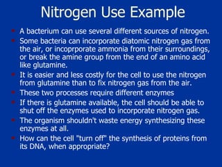Nitrogen Use Example A bacterium can use several different sources of nitrogen.  Some bacteria can incorporate diatomic nitrogen gas from the air, or incoprporate ammonia from their surroundings, or break the amine group from the end of an amino acid like glutamine.  It is easier and less costly for the cell to use the nitrogen from glutamine than to fix nitrogen gas from the air.  These two processes require different enzymes  If there is glutamine available, the cell should be able to shut off the enzymes used to incorporate nitrogen gas.  The organism shouldn't waste energy synthesizing these enzymes at all.  How can the cell "turn off" the synthesis of proteins from its DNA, when appropriate?  