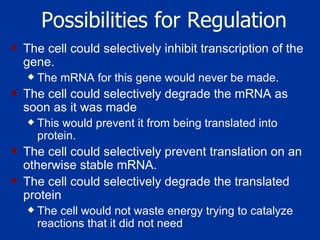 Possibilities for Regulation The cell could selectively inhibit transcription of the gene.  The mRNA for this gene would never be made.  The cell could selectively degrade the mRNA as soon as it was made This would prevent it from being translated into protein.  The cell could selectively prevent translation on an otherwise stable mRNA.  The cell could selectively degrade the translated protein  The cell would not waste energy trying to catalyze reactions that it did not need  