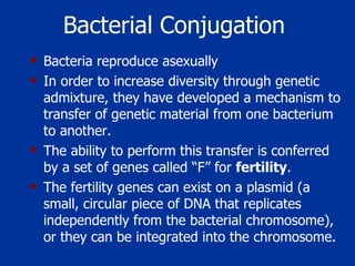 Bacterial Conjugation   Bacteria reproduce asexually In order to increase diversity through genetic admixture, they have developed a mechanism to transfer of genetic material from one bacterium to another.  The ability to perform this transfer is conferred by a set of genes called “F” for  fertility .  The fertility genes can exist on a plasmid (a small, circular piece of DNA that replicates independently from the bacterial chromosome), or they can be integrated into the chromosome.  