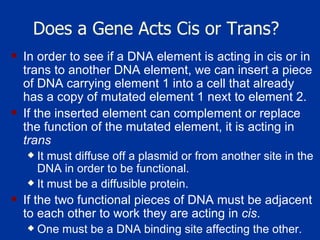 Does a Gene Acts Cis or Trans? In order to see if a DNA element is acting in cis or in trans to another DNA element, we can insert a piece of DNA carrying element 1 into a cell that already has a copy of mutated element 1 next to element 2.  If the inserted element can complement or replace the function of the mutated element, it is acting in  trans It must diffuse off a plasmid or from another site in the DNA in order to be functional.  It must be a diffusible protein.  If the two functional pieces of DNA must be adjacent to each other to work they are acting in  cis . One must be a DNA binding site affecting the other.  