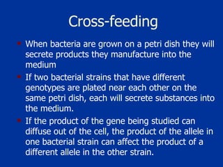 Cross-feeding When bacteria are grown on a petri dish they will secrete products they manufacture into the medium If two bacterial strains that have different genotypes are plated near each other on the same petri dish, each will secrete substances into the medium.  If the product of the gene being studied can diffuse out of the cell, the product of the allele in one bacterial strain can affect the product of a different allele in the other strain. 