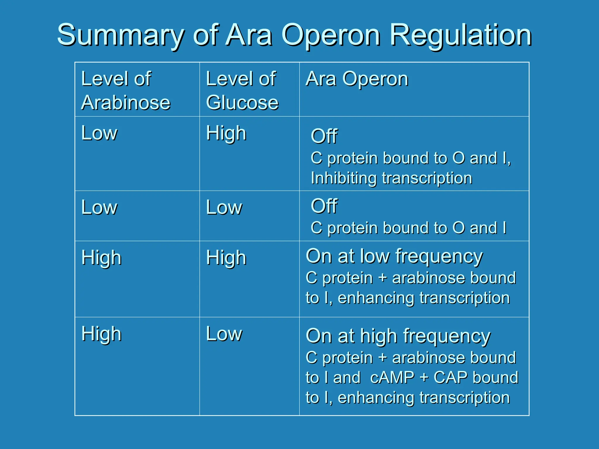 Prokaryotic Gene Regulation for life science.ppt
