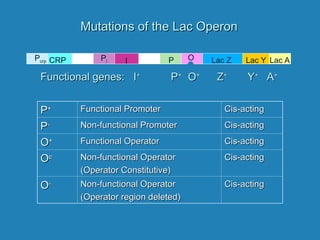 Prokaryotic Gene Regulation for life science.ppt