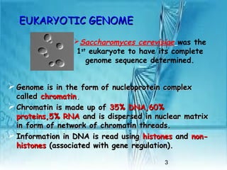 3
EUKARYOTIC GENOMEEUKARYOTIC GENOME
 Genome is in the formGenome is in the form of nucleoprotein complexof nucleoprotein complex
calledcalled chromatinchromatin..
 Chromatin is made up ofChromatin is made up of 35% DNA,60%35% DNA,60%
proteins,5% RNAproteins,5% RNA and is dispersed in nuclear matrixand is dispersed in nuclear matrix
in form of network of chromatin threads.in form of network of chromatin threads.
 Information in DNA is read usingInformation in DNA is read using histoneshistones andand non-non-
histoneshistones (associated with gene regulation).(associated with gene regulation).
Saccharomyces cerevisiae was the
1st
eukaryote to have its complete
genome sequence determined.
 