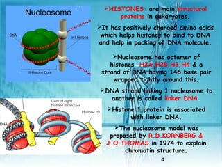 4
HISTONES: are main structural
proteins in eukaryotes.
It has positively charged amino acids
which helps histones to bind to DNA
and help in packing of DNA molecule.
Nucleosome has octamer of
histones H2A,H2B,H3,H4 & a
strand of DNA having 146 base pair
wrapped tightly around this.
DNA strand linking 1 nucleosome to
another is called linker DNA.
Histone 1 protein is associated
with linker DNA.
The nucleosome model was
proposed by R.D.KORNBERG &
J.O.THOMAS in 1974 to explain
chromatin structure.
 