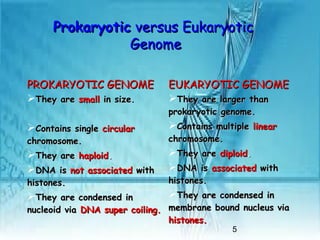 5
ProkaryoticProkaryotic versus Eukaryoticversus Eukaryotic
GenomeGenome
EUKARYOTIC GENOMEEUKARYOTIC GENOME
They are larger thanThey are larger than
prokaryotic genome.prokaryotic genome.
Contains multipleContains multiple linearlinear
chromosome.chromosome.
They areThey are diploiddiploid..
DNA isDNA is associatedassociated withwith
histones.histones.
They are condensed inThey are condensed in
membrane bound nucleus viamembrane bound nucleus via
histones.histones.
PROKARYOTIC GENOMEPROKARYOTIC GENOME
They areThey are smallsmall in size.in size.
Contains singleContains single circularcircular
chromosome.chromosome.
They areThey are haploidhaploid..
DNA isDNA is not associatednot associated withwith
histones.histones.
They are condensed inThey are condensed in
nucleoid vianucleoid via DNA super coiling.DNA super coiling.
 