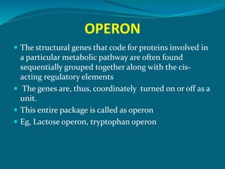 Prokaryotic regulation | PPTX